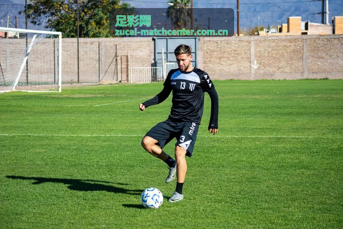 足彩网按比赛场景浏览资料的足球场画面