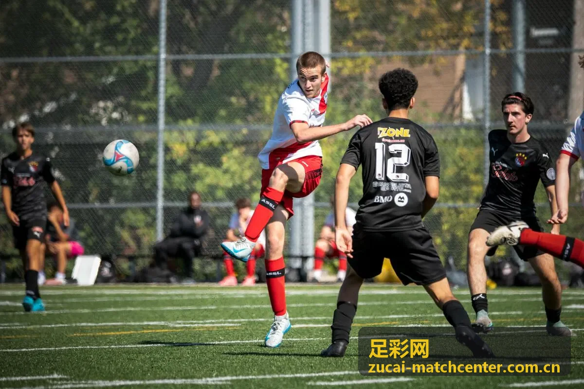 足彩网赛事资料导读的绿茵场封面